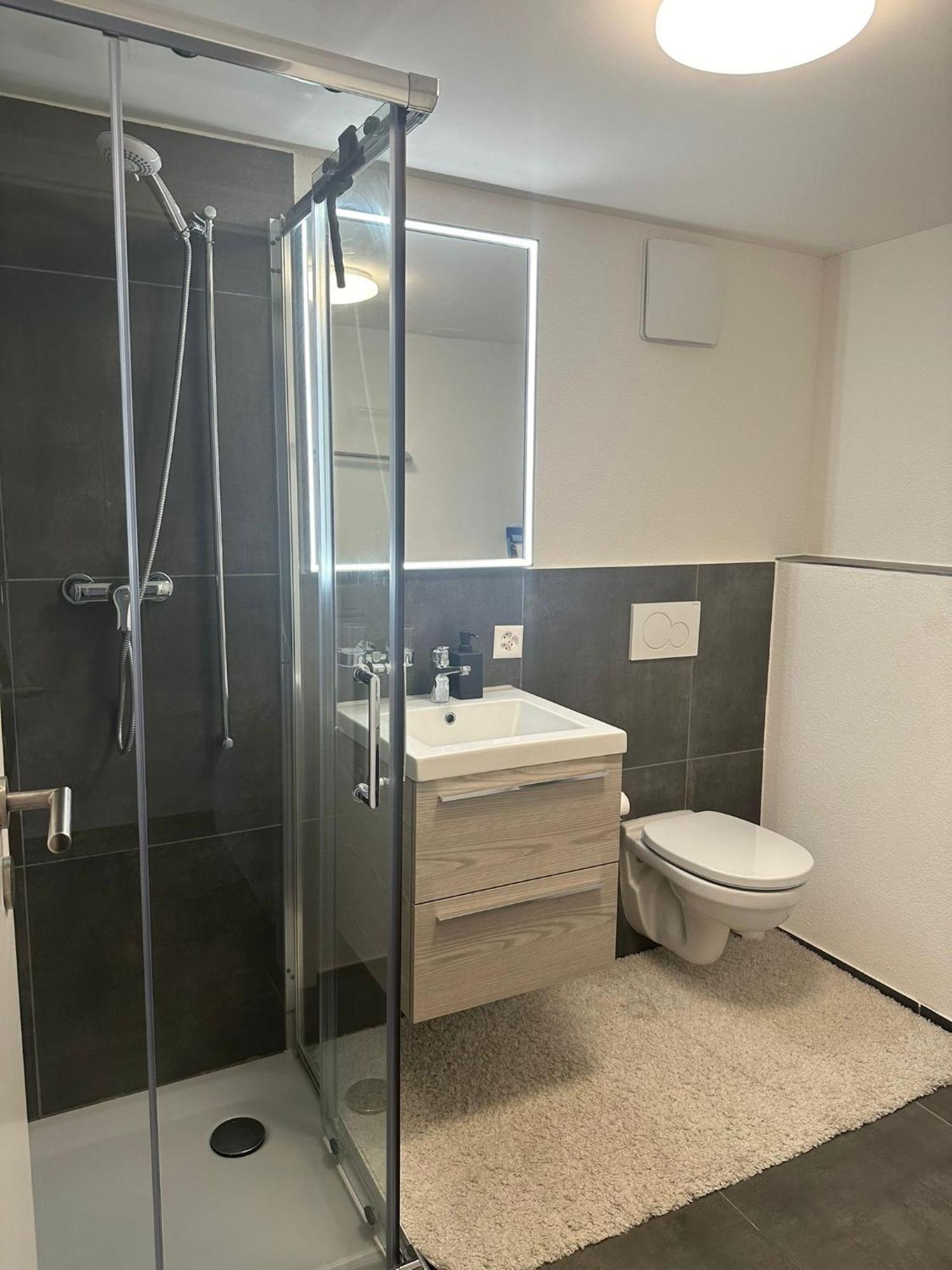 Stilvolle 2,5 Zimmer Wohnung St. Gallen Esterno foto